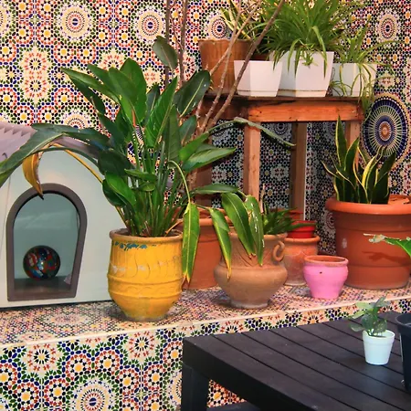 Feels Like Home, Nice Apartment With Garden View In Center, Close To Beach El Jadida Room photo